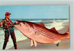 10502645 - Fischen / Angeln Fotomontage - Angler Mit - Angelsport