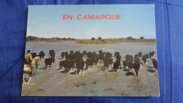 CPM EN CAMARGUE TAUREAU CHEVAL GARDIAN MANADE DE TAUREAUX SAUVAGES ED SL - Stiere