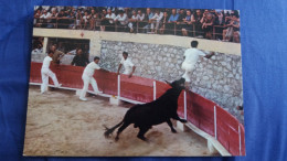 CPM TAUREAU BELLES IMAGES DE PROVENCE COURSE PROVENCALE AUX ARENES ED G A L 4142 - Stiere