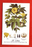 Mini Calendrier 1998  LE COTON - Petit Format : 1991-00