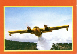 Mini Calendrier 1998 Sapeurs Pompiers Avion - Petit Format : 1991-00