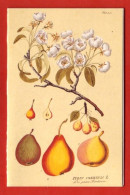 Mini Calendrier 1997 LE POIRIER  Arbre Fruitier - Petit Format : 1991-00