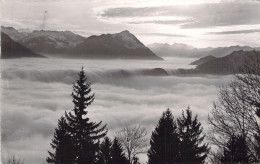 SUISSE - Blick Vom Rigi Auf Nebelmeer Und Stanserborn - Carte Postale Ancienne - Elm