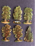 6 Cromos Découpis Gaufré Victorien ARBRES H 8,5cm - Fleurs