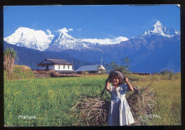 NEPAL--  View From   POKHARA - Nepal