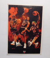 NBA Basket-Ball - Running Of The Bulls - Chicago Bulls - Basketball