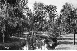 DORDIVES - Le Betz - Très Bon état - Dordives