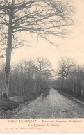 Forêt De SENART - Route Des Bergères, Aboutissant à La Pyramide De Brunoy - Très Bon état - Sénart