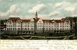 Heilstätte Im Hohwalde, Hauptgebäude, Südseite - Hohnstein (Saechs. Schweiz)
