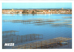 CPM 34 (Hérault) Mèze - Ostréiculteur Et Parcs à Huitres Sur Le Bassin De Thau TBE élevage Des Huîtres, Pêche - Fischerei