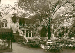 Rudelsburg Im Burghof Terrasse - Bad Kösen