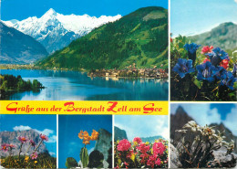 Austria Salzburg Zell Am See Flowers - Zell Am See