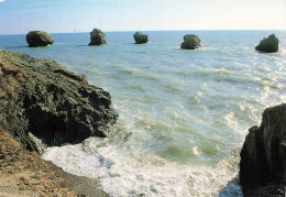 85 CHALLANS LA CORNICHE DE SION SUR L OCEAN - Challans