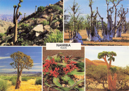 NAMIBIE SWAKOPMUND VINETA - Namibia