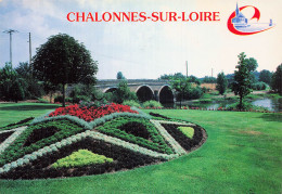 49 CHALONNES SUR LOIRE LE PONT SUR LE LAYON - Chalonnes Sur Loire