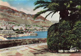 98 MONTE CARLO LE CASINO ET LE TIR AUX PIGEONS - Spielbank