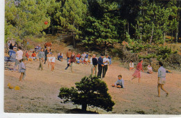 Quend Plage Les Pins - Quend