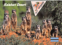 BOTSWANA Suricata Suricatta Lémuriens Dos Vierge Non Voyagé éditions MAMM2020(2 Scans) N° 6 \MP7111 - Botswana
