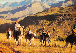 Lesotho Lessouto Orange River Valley Cavalier Anes Carte Vierge Non Circulé édition SOLE Maseru(Scans R/V) N° 21 \MP7109 - Lesotho