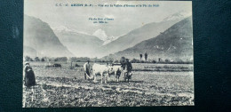 64 , Arudy ,attelage De Bœufs Aux Labours Vallée D'Ossau - Arudy