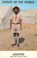 LESOTHO Un Scout (Scan R/V) N° 42 \MP7169 - Lesotho