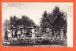 31059 / ️ TOPEO Dahomey A.O.F (•◡•) Plantation De Cocotiers SOUTHERN NIGERIA 1905s ◉ Collection F-S 6266 - Dahomey
