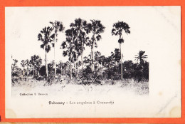 31062 /  COCOCODJI Dahomey A.O.F (•◡•) Les COQUERES 1905s ◉ Collection BESSON Photo-Ateliers BAUDOUIN-VINCENT - Dahomey