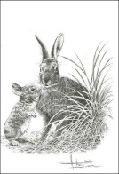 Dessin, Signé/Tekening, Getekend/Zeichnung, Gezeichnet - Lapin & Petit/Konijn & Klein/Hase Und Jungtier - Sépia - BUZIN - Lapins