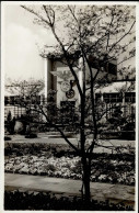 DRESDEN WK II - Dresdner JAHRESSCHAU GARTEN Und HEIM 1937 Offiz. Ak I - Guerra 1939-45