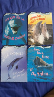 4 CPM DAUPHIN DAUPHINS ED MILABERTO PHOTO LACZ SUNSET PICTOR BISOU COUCOU VACANCES COULE DOUCE - Dolphins