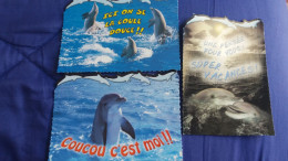 3 CPM DAUPHIN DAUPHINS ED MILABERTO PHOTO LACZ PICTOR HERAUD  VACANCES COUCOU COULE DOUCE - Dolphins