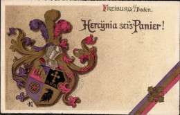 Studentika Freiburg In Baden Hercynia 1916 I-II - Schulen