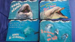 4CPM DAUPHIN DAUPHINS ED MILABERTO PHOTO PICTOR HERAUD BISOUS  VACANCES VEINARDS MANQUE TOI - Dolphins