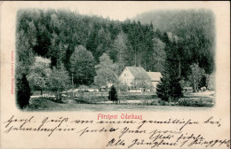 Braunlage (3389) Försterei Oderhaus, 1900 I - Autres & Non Classés