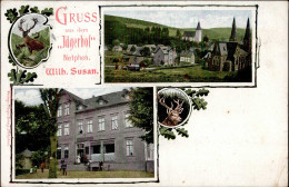 Netphen (5902) Gruss Aus Dem Jägerhof I-II Montagnes - Otros & Sin Clasificación