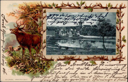Sindelfingen (7032) Präge-AK, 1906 I - Autres & Non Classés