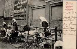 München (8000) Kuranstalt Am Viktualienmarkt 1904 I-II - Other & Unclassified