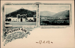 Nonn (8230) Gruss Von Der Padinger Alm 1903 I-II Montagnes - Autres & Non Classés