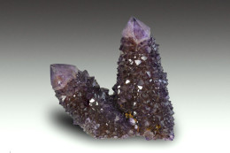 Améthyste Cactus Spirit Quartz De Boekenhouthoek : 1200 Euros - 50 % - Minerales