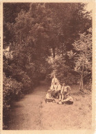 BELGIQUE - Frameries Lez Mons - Pensionnat Du SC - Sœurs Providence - Allée - Parc - Ern Thill - Nels - Carte Postale - Frameries
