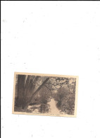 CARTE POSTALE 91 BOISSY LA RIVIERE LES BORDS DE LA JUINE - Boissy-la-Rivière
