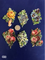 6 Chromos Découpis Victorien Gaufré  Fleurs - Fleurs