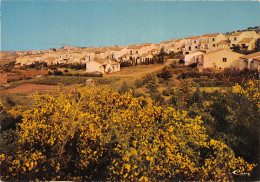 83-ROQUEBRUNE SUR ARGENS-N°4281-A/0311 - Roquebrune-sur-Argens