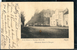 Route De Recogne - Obl. DISON - 06/12/1907 - - Editeur: L. Duparque, Florenville - Libramont-Chevigny