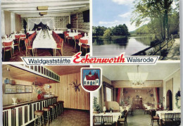 50969734 - Walsrode - Walsrode