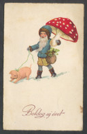 Dwarf Mushroom Pig, Year 1936 - Pilze