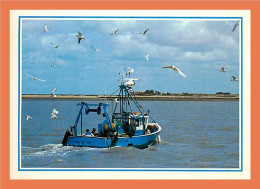 A310 / 381 Bateau De PÃªche - Fischerei