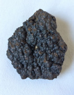 Coprolithe (excréments) 97 Grammes 6 Cm X 5 Cm X 2 Cm - Fósiles