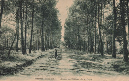 DERVAL ,  Avenue Du Château De La Haye - Derval