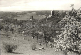 Bad Koesen Rudelsburg Und Burg Saaleck Baumbluete Schafe - Bad Kösen